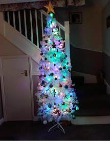 Show Us Your Tree-sstree.png