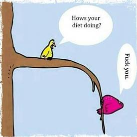 Hows your diet going? (haha)-fuck-you.jpg
