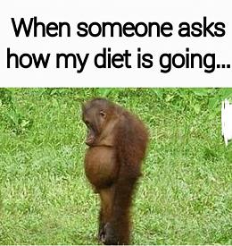 Funny Health Diet Exercise Memes Quotes  Pictures-be7295da-1453-4c3e-a3f1-f209bc6630fd.jpeg
