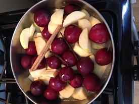 apple plum sauce-photo-1-10.jpg